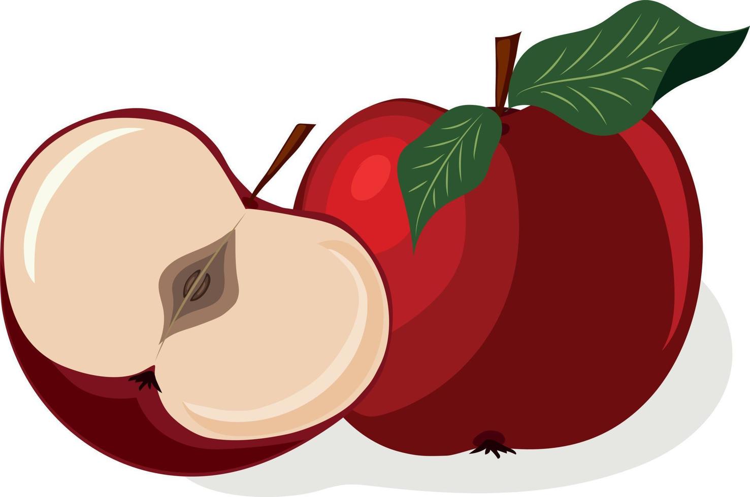 appel. gesneden appel. fruit. hoog kwaliteit vector illustratie.