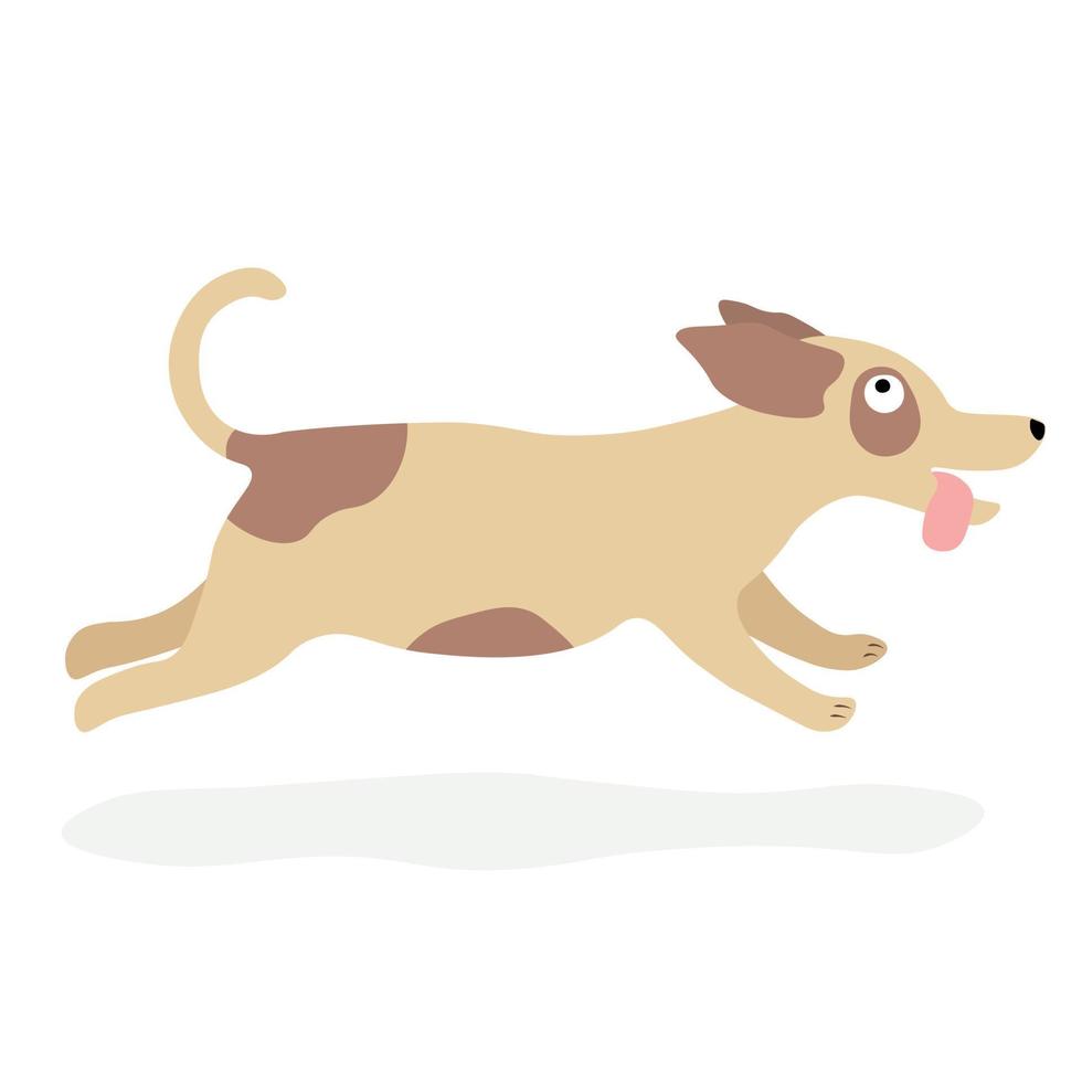 schattig honden vector in tekenfilm stijl. rennen hond vlak vector in kleur. verzameling van schattig huisdieren.