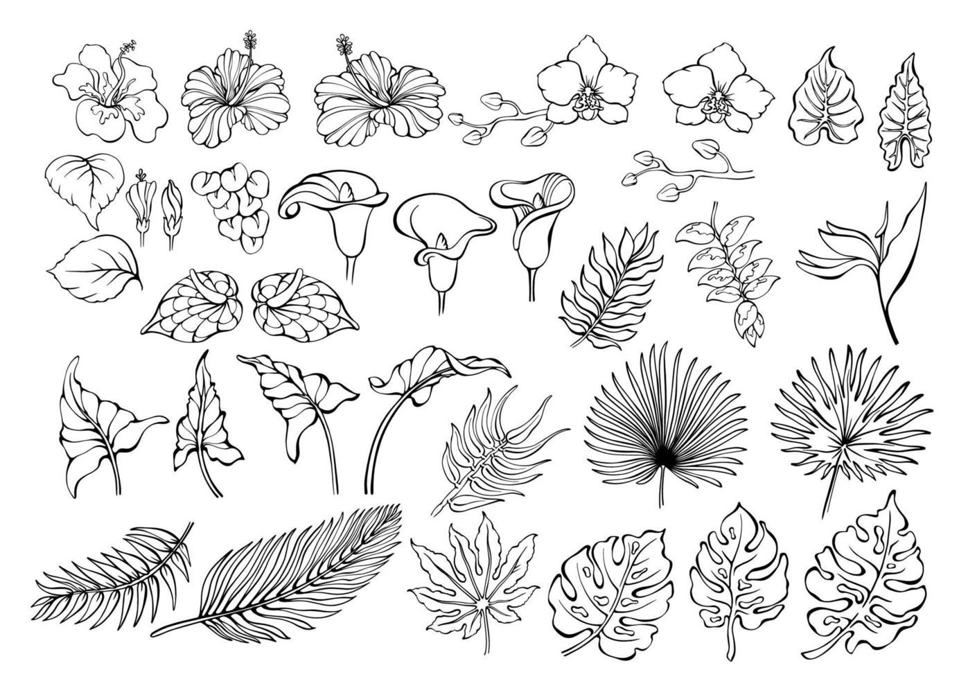 tropisch bloemen en bladeren set. exotisch oerwoud planten. vector illustraties.