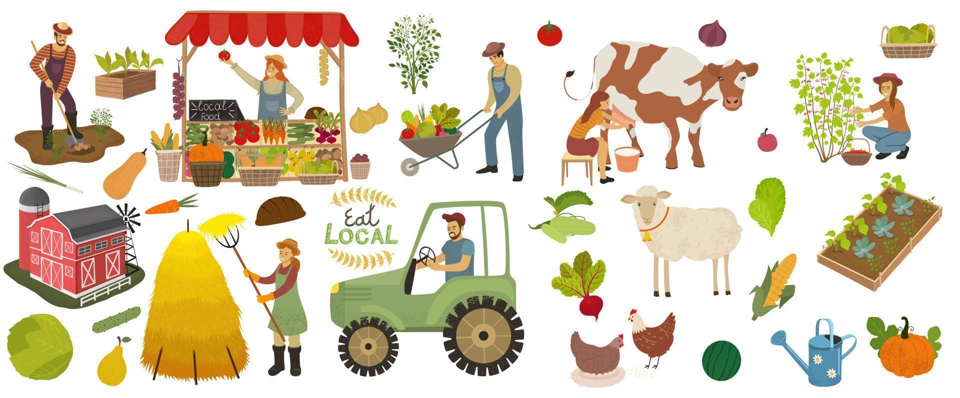 lokaal biologisch productie pictogrammen set. boeren Doen agrarisch werk, planten, bijeenkomst gewassen en verkopen voedsel. vrouw melk een koe en plukken bessen. boerderij dieren, fruit en groenten geïsoleerd vector