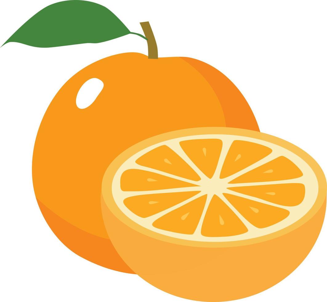 sappig oranje verfrissing fruit illustratie, geheel en voor de helft, geïsoleerd Aan wit achtergrond vector