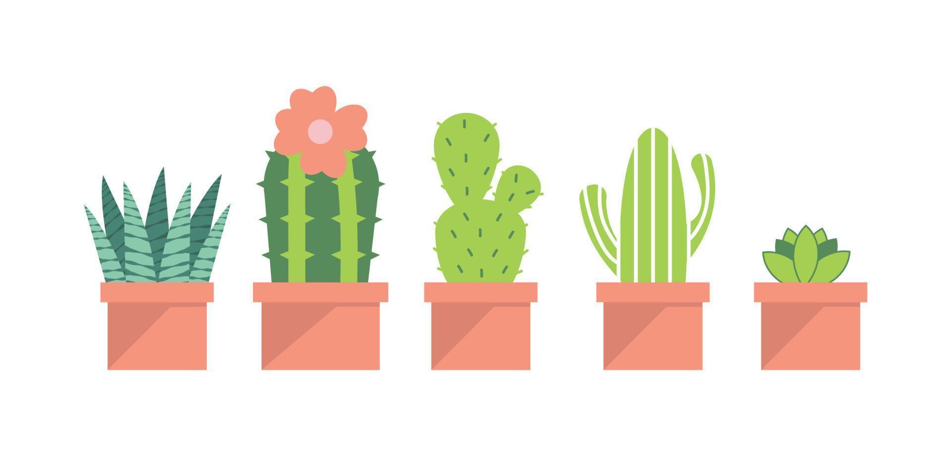 tekening cactus planten illustratie reeks vector
