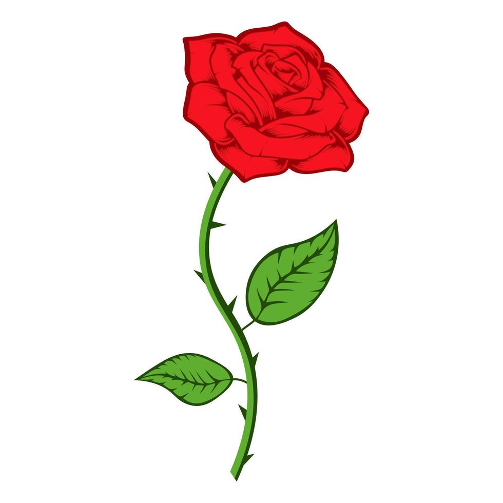 rood roos met groen stam en blad vector