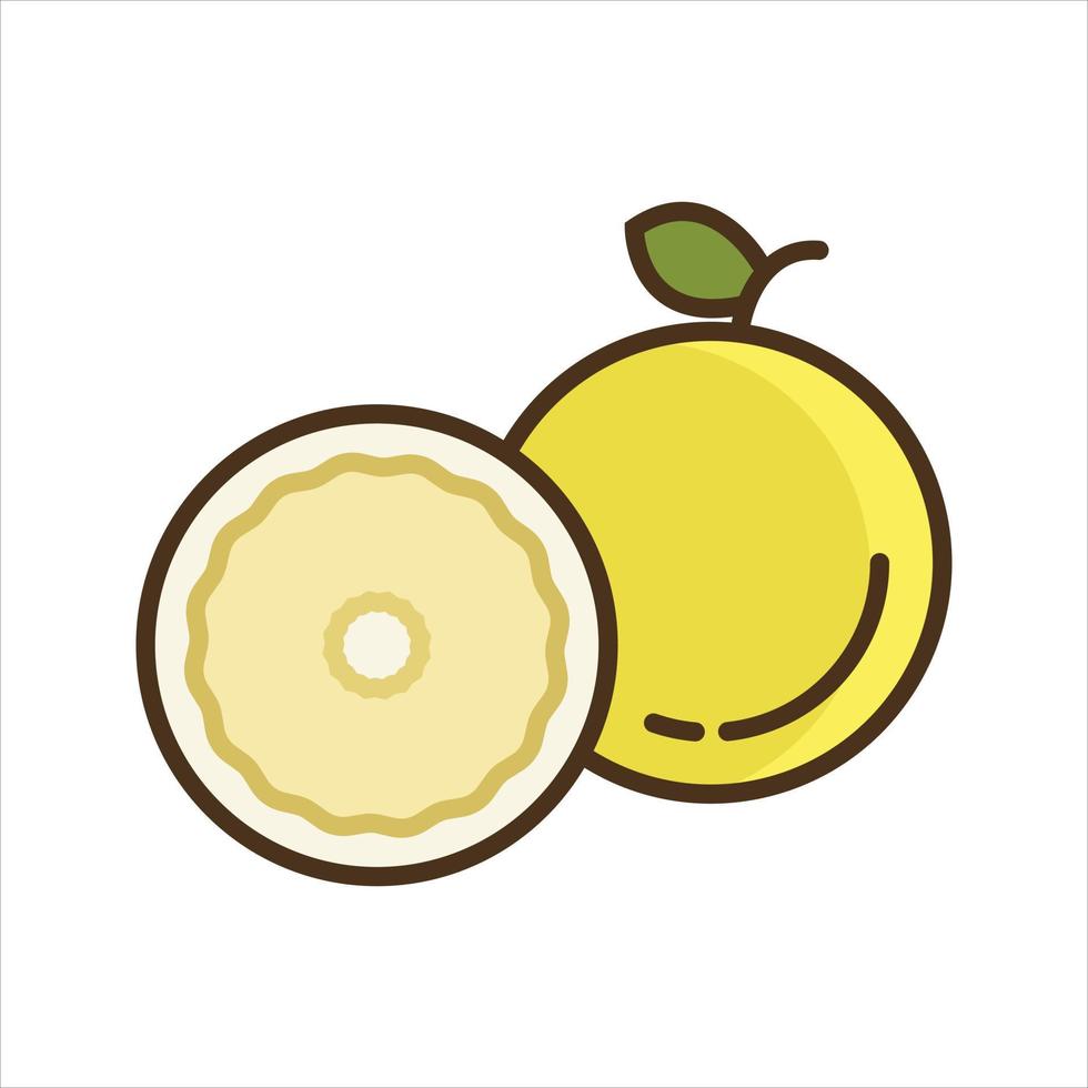 fruit illustratie vector