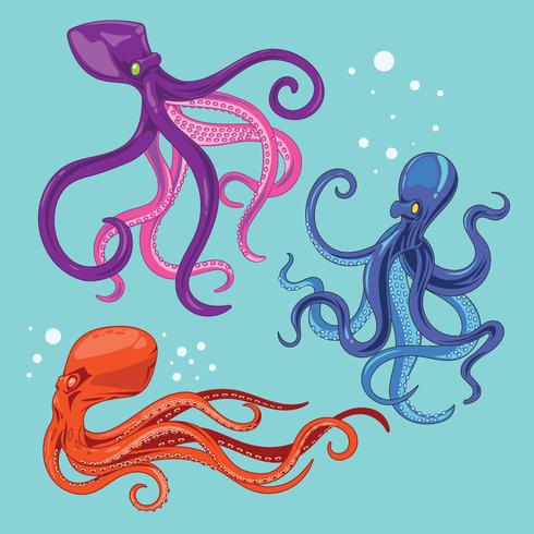 Illustratieinzameling van Octopus met Tentakels vector