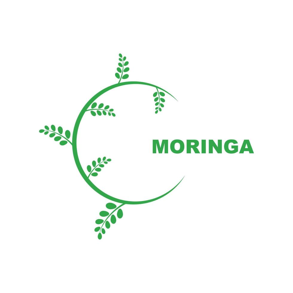 groen moringa blad logo, voor kruiden ingrediënten, moringa landbouw, Gezondheid, geneeskunde industrie, schoonheid, therapie, concept ontwerp vector illustratie icoon sjabloon met een modern concept