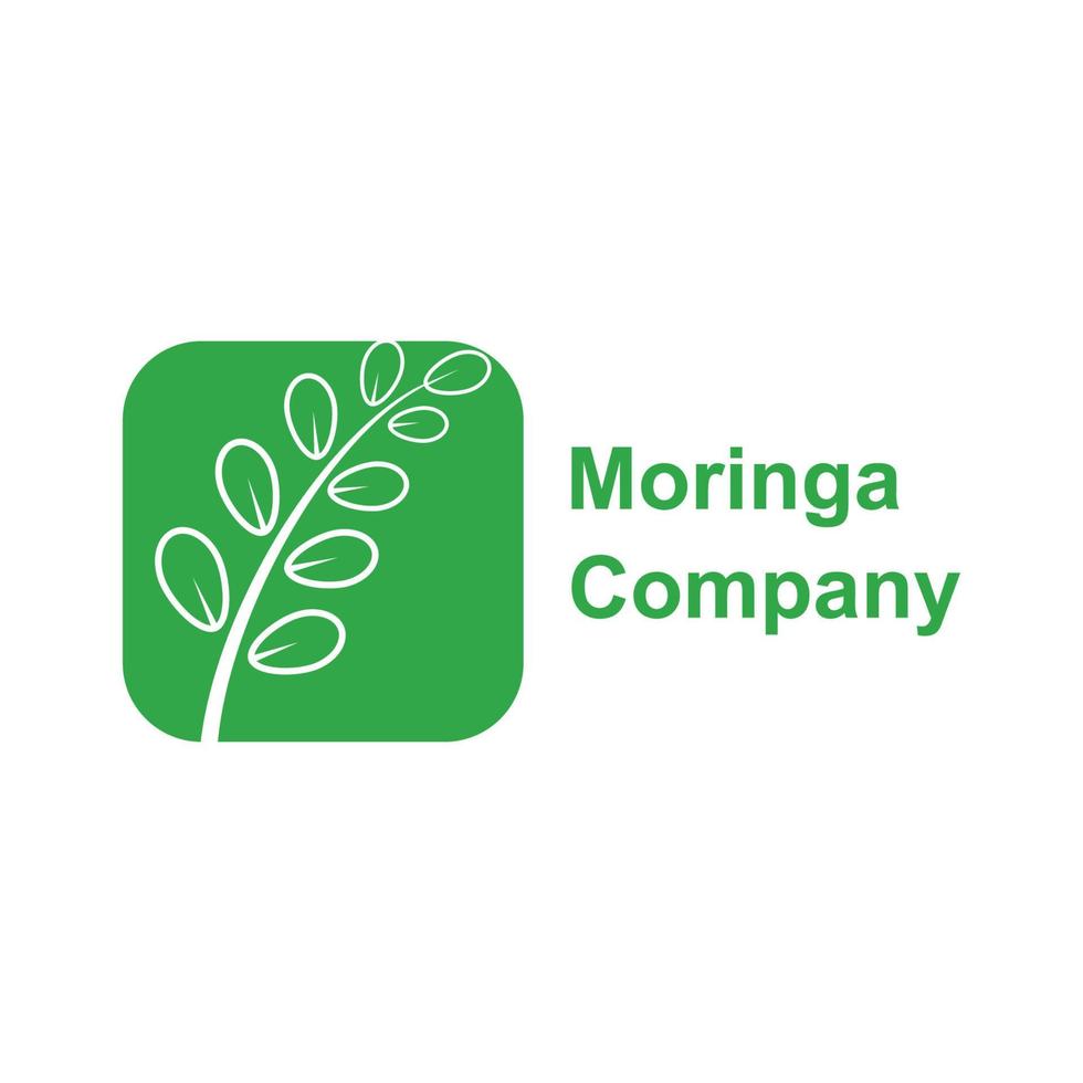 groen moringa blad logo, voor kruiden ingrediënten, moringa landbouw, Gezondheid, geneeskunde industrie, schoonheid, therapie, concept ontwerp vector illustratie icoon sjabloon met een modern concept