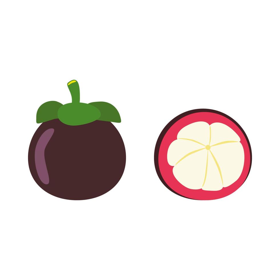 tekenfilm mangosteen, Purper en wit Pel fruit. geïsoleerd Aan wit achtergrond, vlak ontwerp, eps10 vector