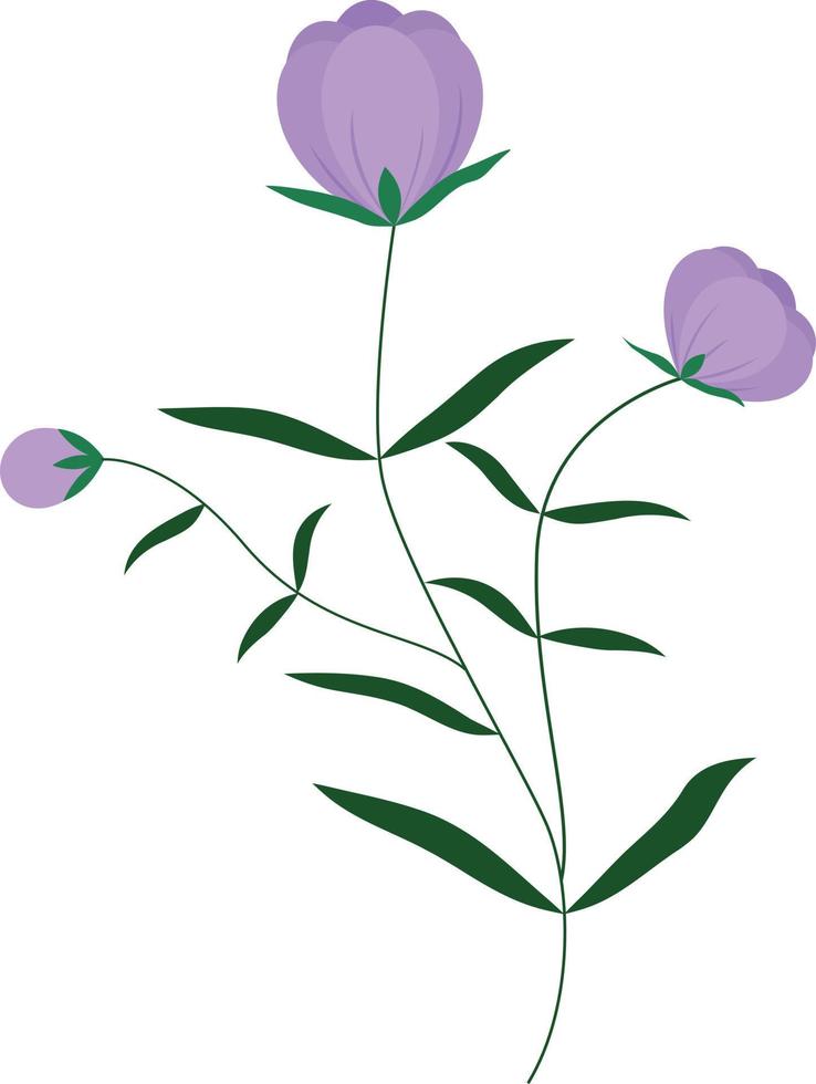 Purper vector bloemen