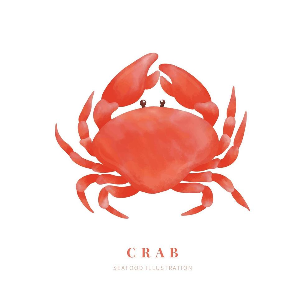 aquarel krab op witte achtergrond. digitale verf. vector illustratie.