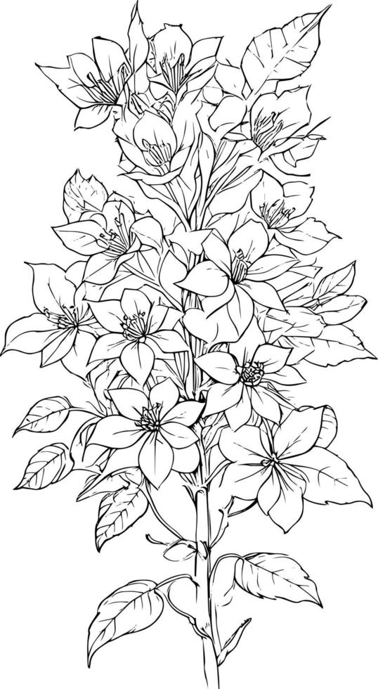 wijnoogst botanisch lijn tekening, botanisch illustratie botanisch lijn tekening, gemakkelijk botanisch lijn tekening, gemakkelijk botanisch bloem tekeningen, gemakkelijk botanisch krabbels. esthetisch bloem krabbels. vector