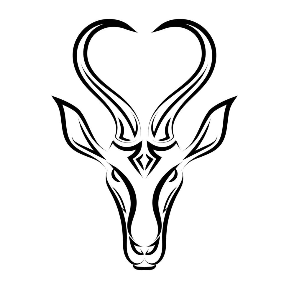 lijntekeningen vector van springbok hoofd. geschikt voor gebruik als decoratie of logo. lijntekeningen vector van springbokkop. geschikt als decoratie of logo.