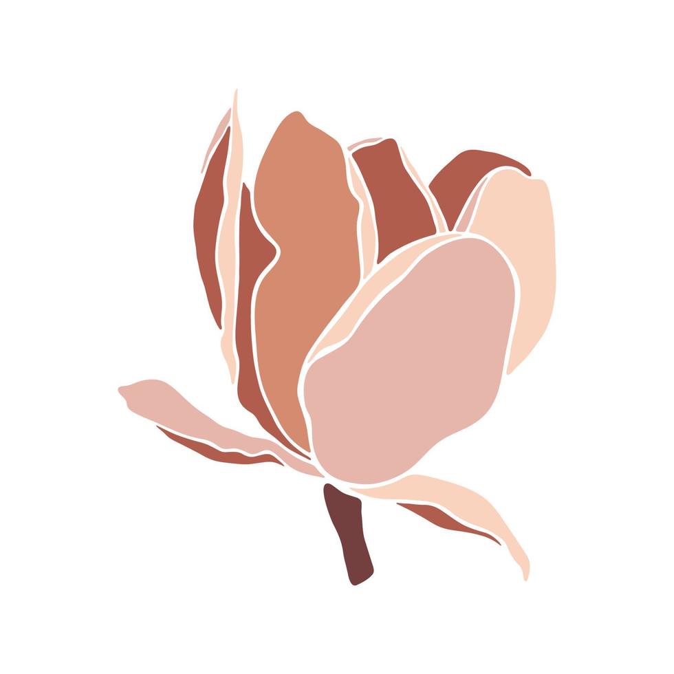 magnolia bloeiend bloem Aan wit achtergrond, detailopname. vector