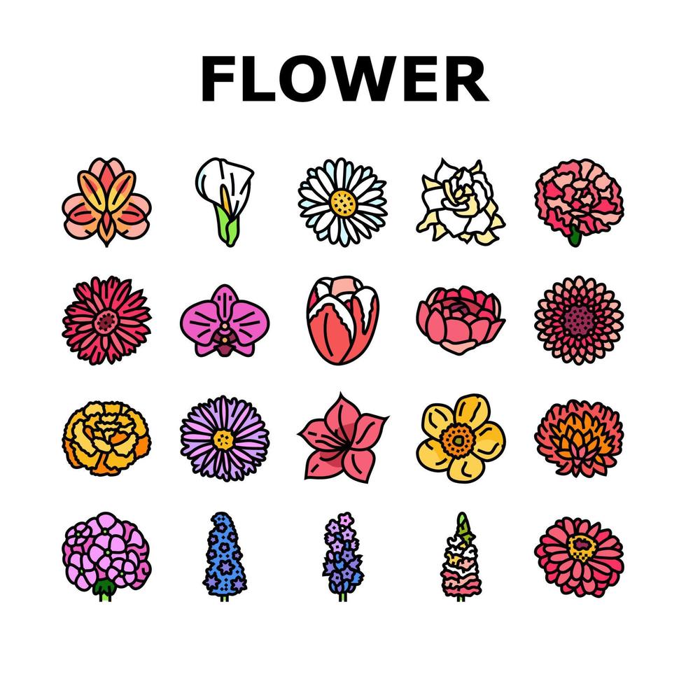 bloem voorjaar bloemen bloesem pictogrammen reeks vector