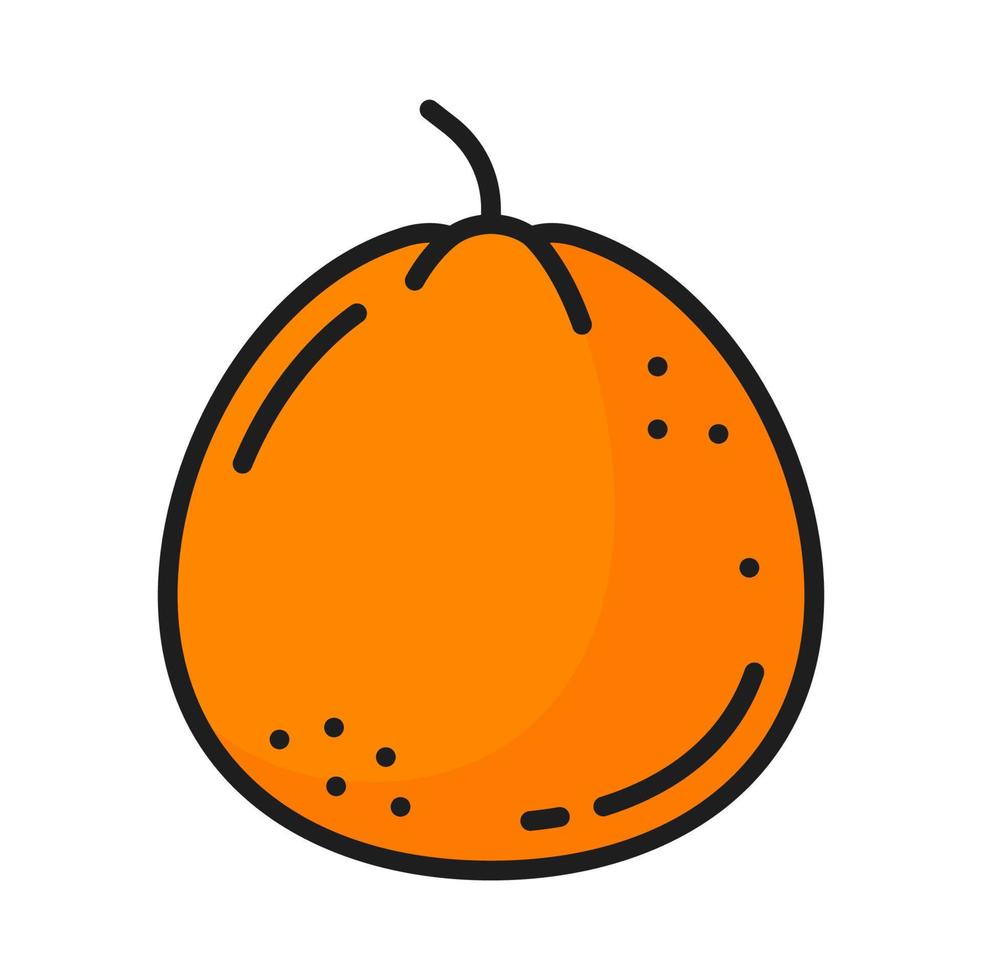 mandarijn- citrus fruit kleur lijn clementine icoon vector