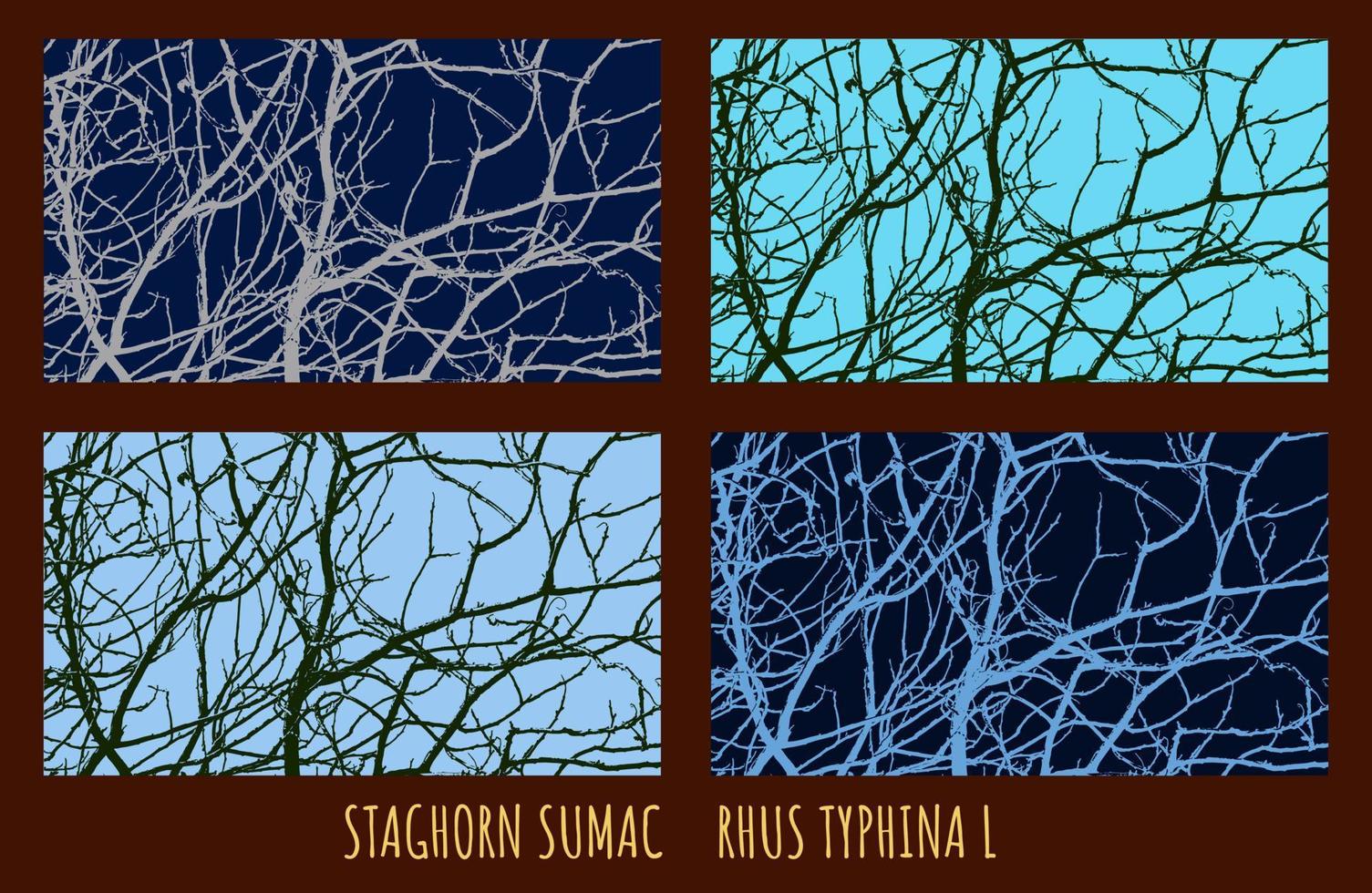 vector illustratie van takken van stengel sumak rhus typhina l in vroeg voorjaar tegen de lucht.