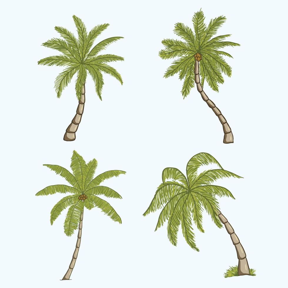 palm bomen vector illustratie. hand- getrokken palm boom. tropisch kokosnoot bomen, wijnoogst Miami palmen vector illustratie set. tropisch boom palm, groen bloemen botanisch.