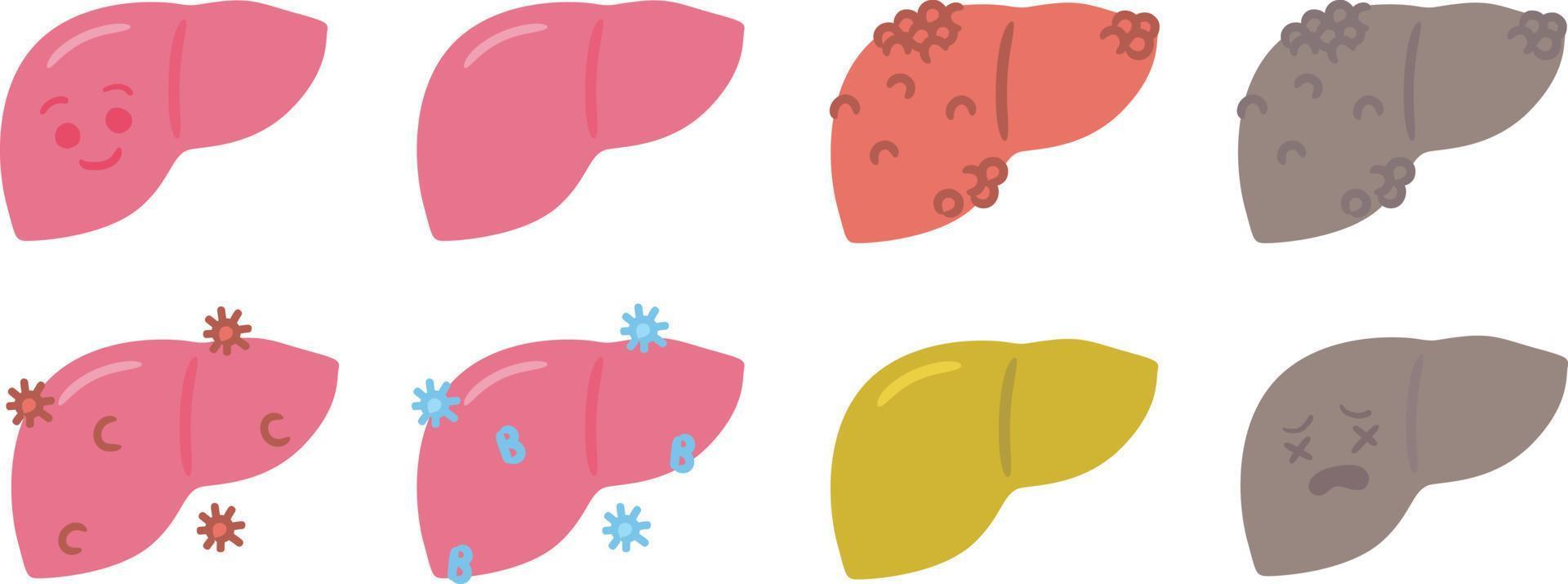 schattig menselijk orgaan lever medisch anatomie tekenfilm karakter vector