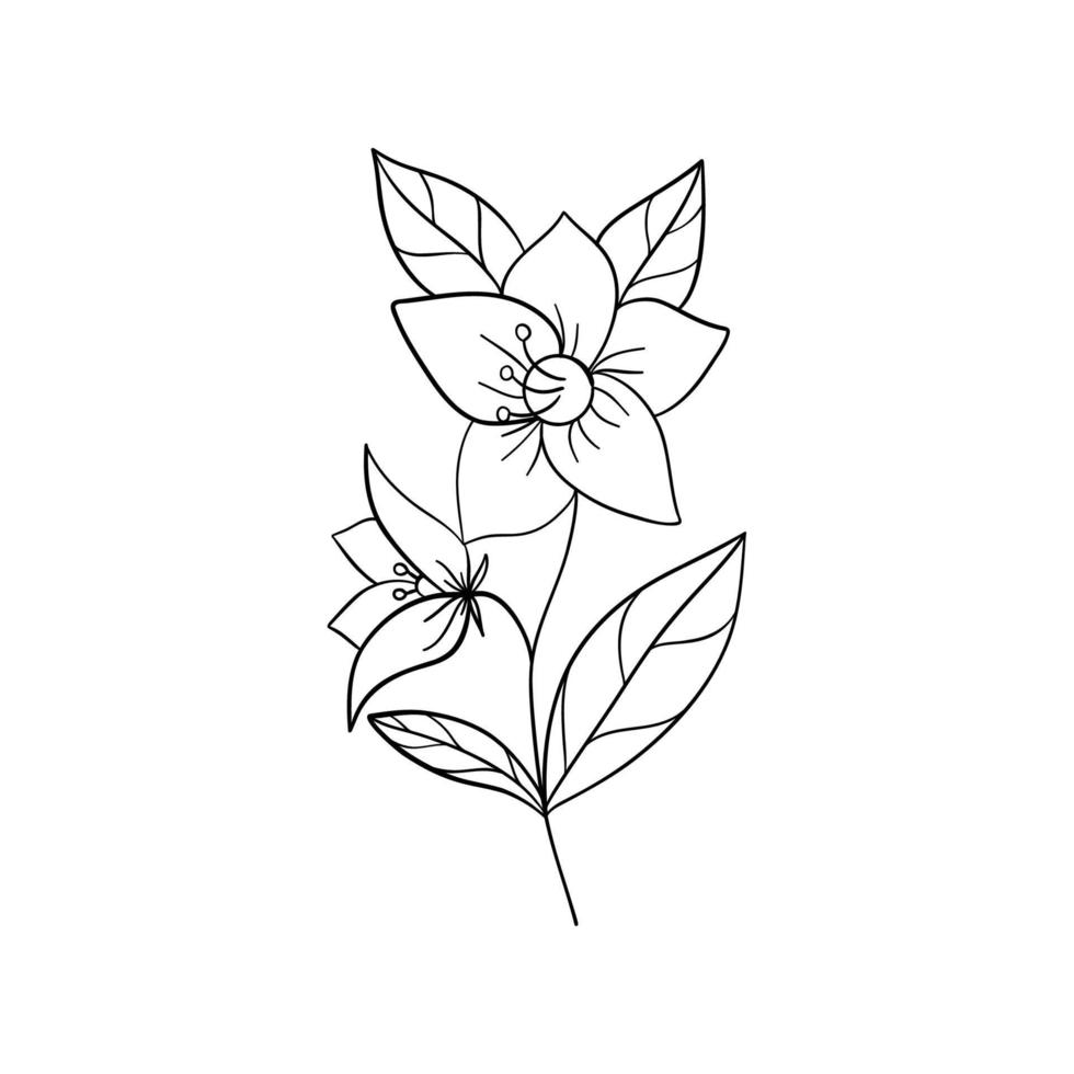 zonnebloem - vector illustratie geïsoleerd Aan wit achtergrond. zwart lijnen bloemen pictogrammen set. vector geïsoleerd bloemen elementen.