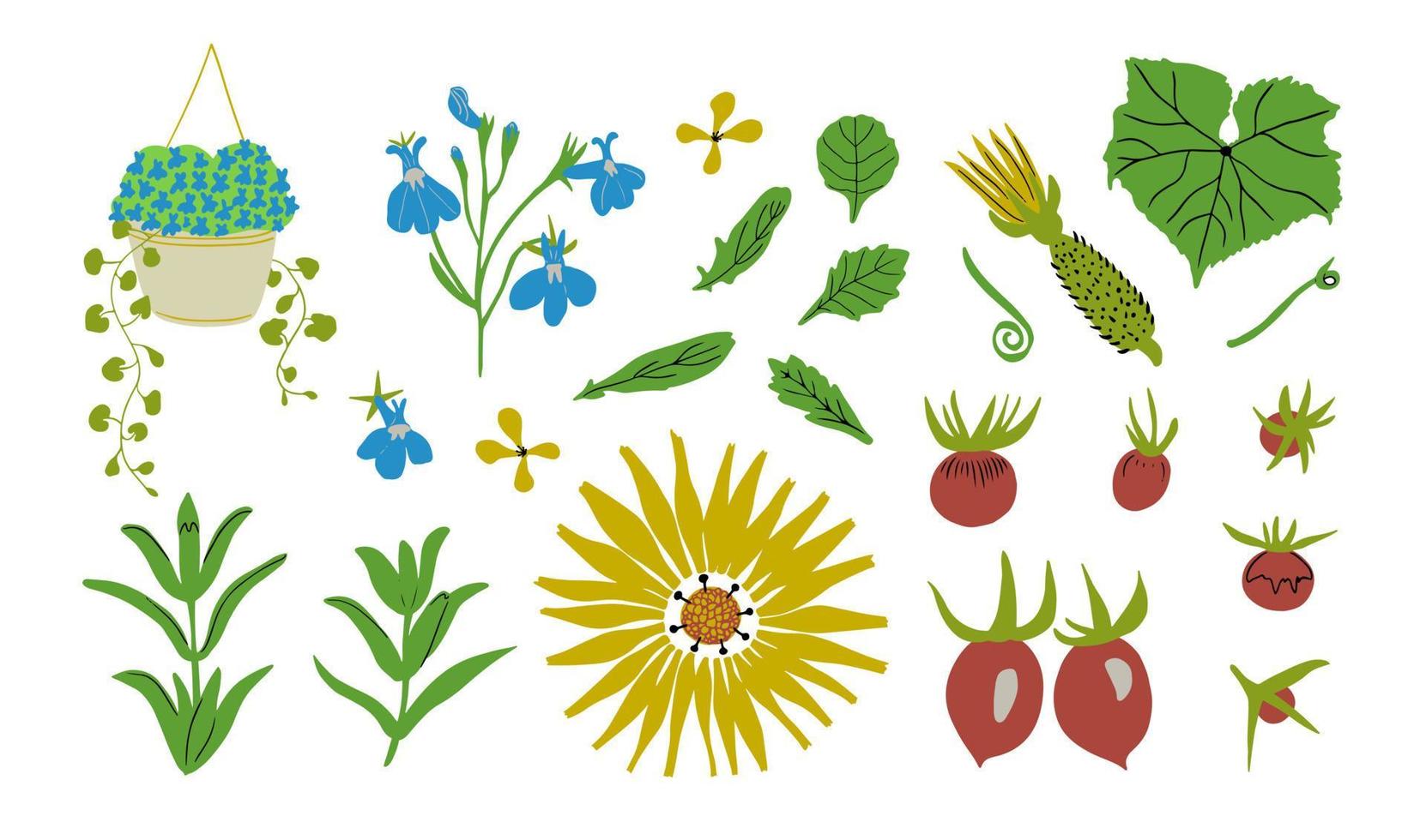 tuin bloemen, bladeren en groenten set. vector illustratie. tuin planten, bloemen en fruit.