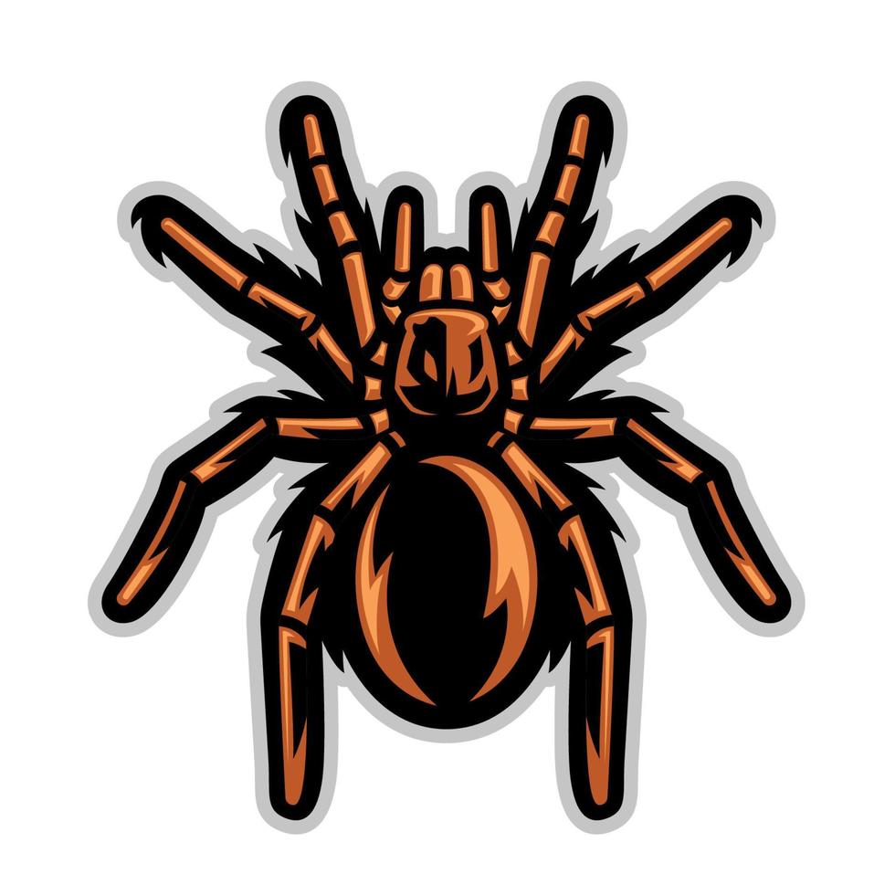 tarantula spin mascotte vector