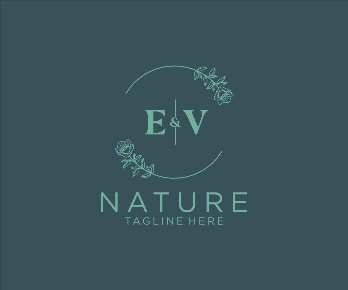eerste ev brieven botanisch vrouwelijk logo sjabloon bloemen, bewerkbare premade monoline logo geschikt, luxe vrouwelijk bruiloft branding, zakelijk. vector