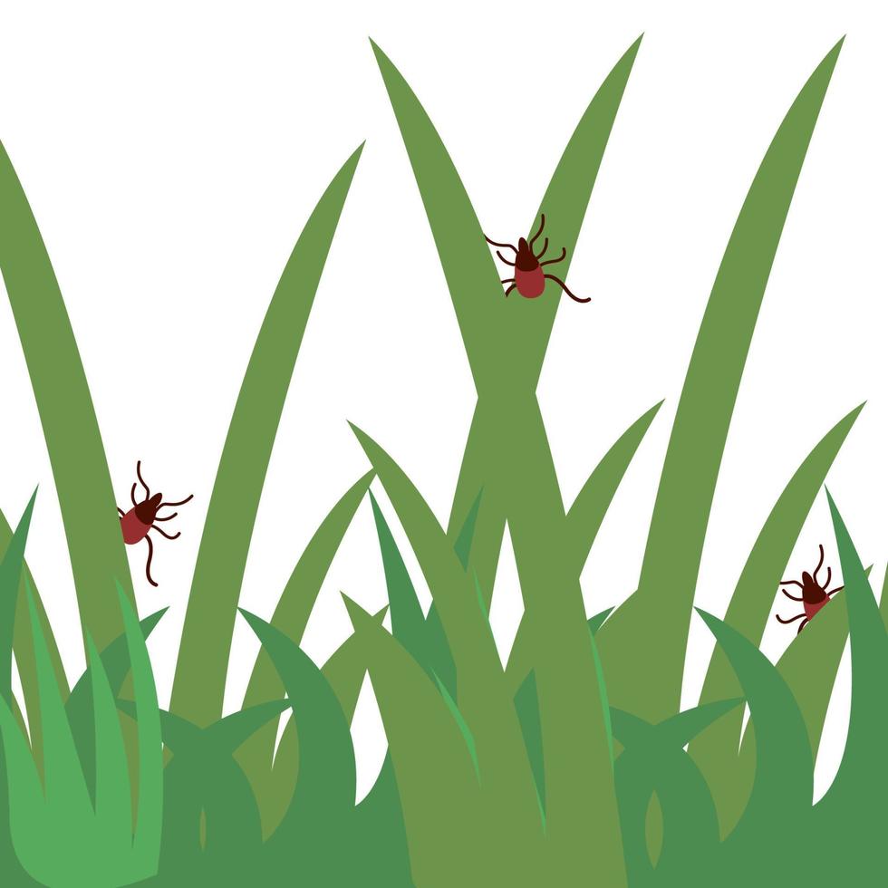 Kruis aan in de groen gras vlak vector illustratie. Gevaar Kruis aan kever in gras.gezondheidszorg illustratie.