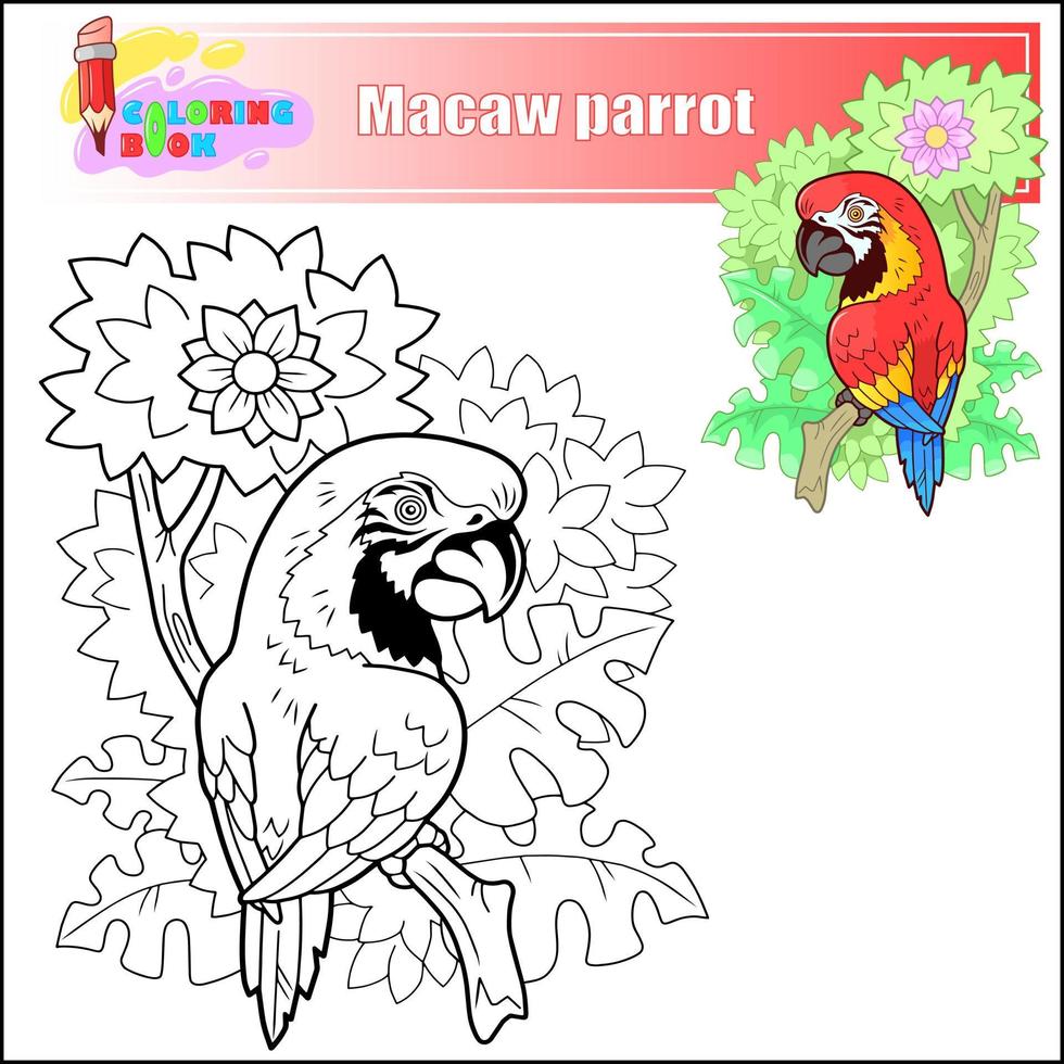 tekenfilm grappig ara papegaai kleur boek vector