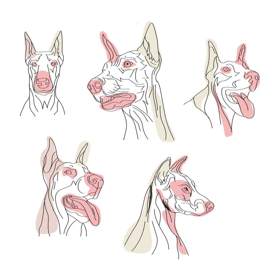 vector hand- getrokken doberman hond schets illustratie.eps