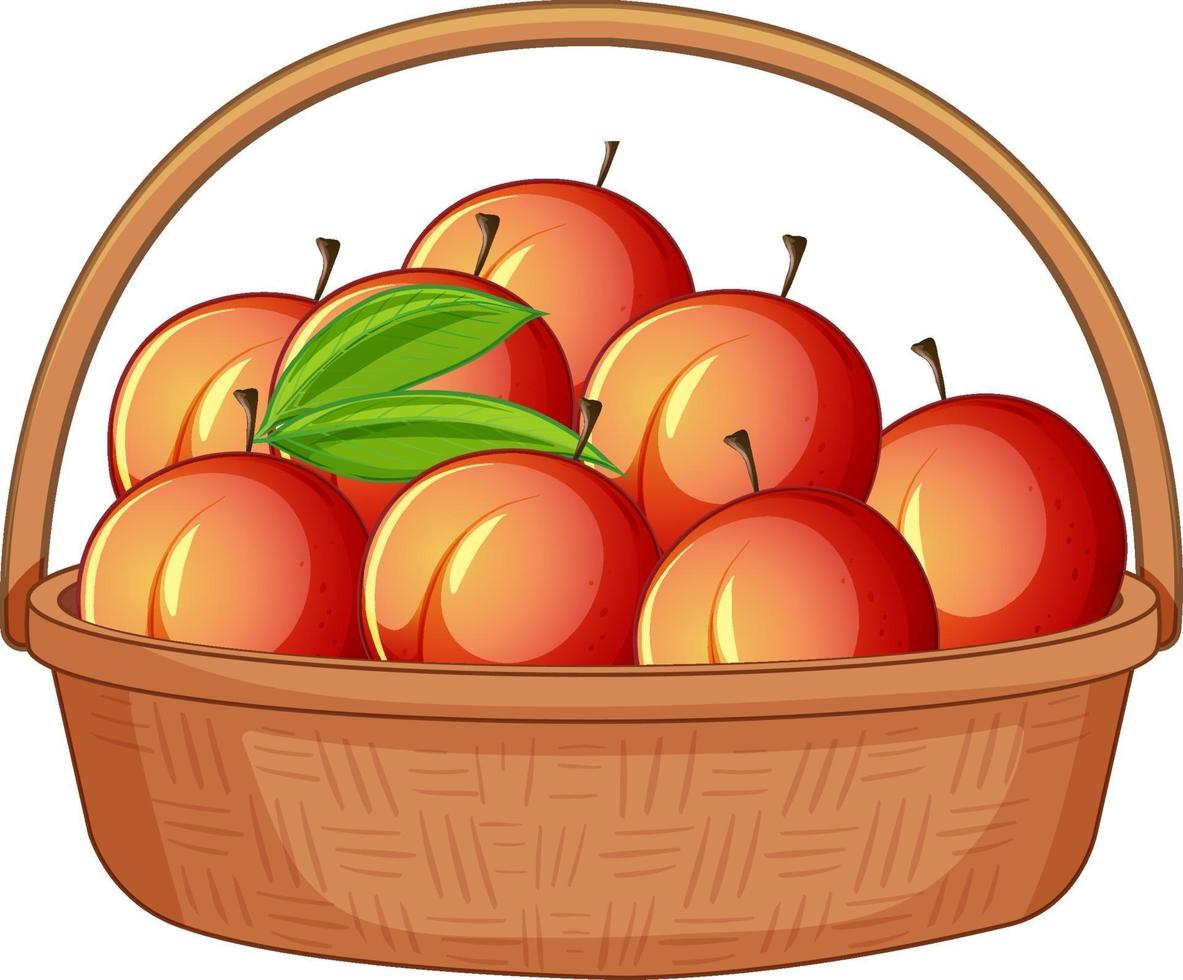 veel perziken in houten mand geïsoleerd op een witte achtergrond vector