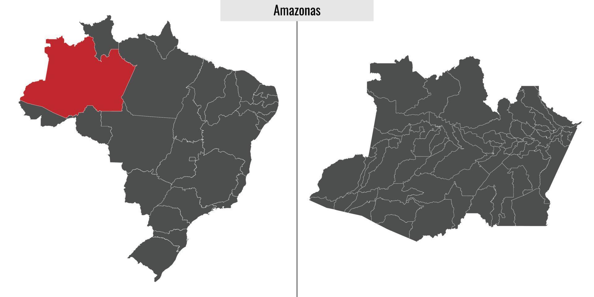 kaart staat van Brazilië vector