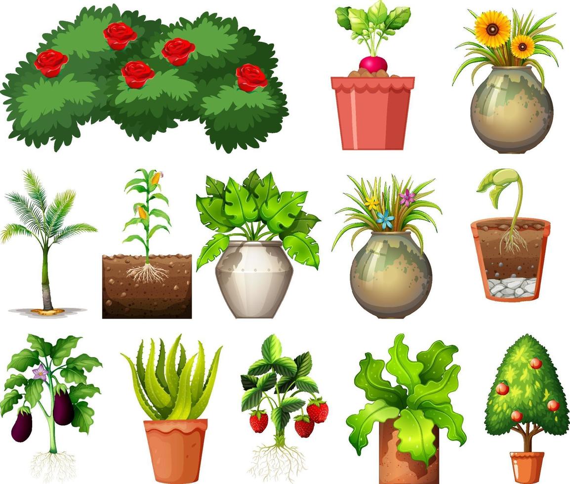 set van verschillende planten in potten geïsoleerd op een witte achtergrond vector