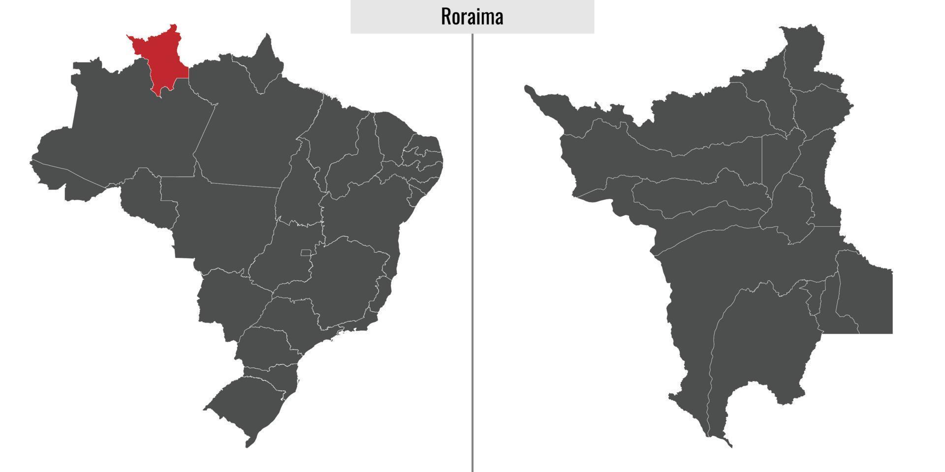 kaart staat van Brazilië vector