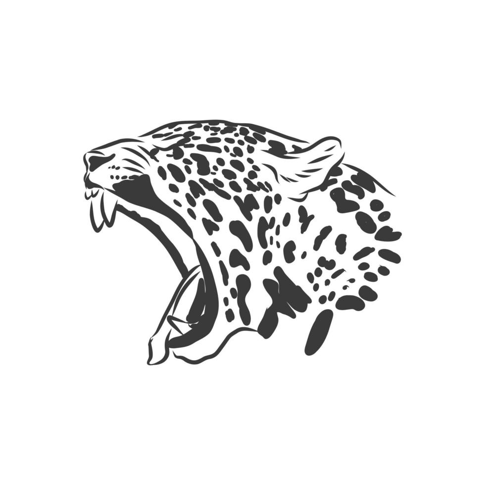 jaguar. hand getrokken schets illustratie geïsoleerd op een witte achtergrond. portret van een jaguar dier, schets vectorillustratie vector