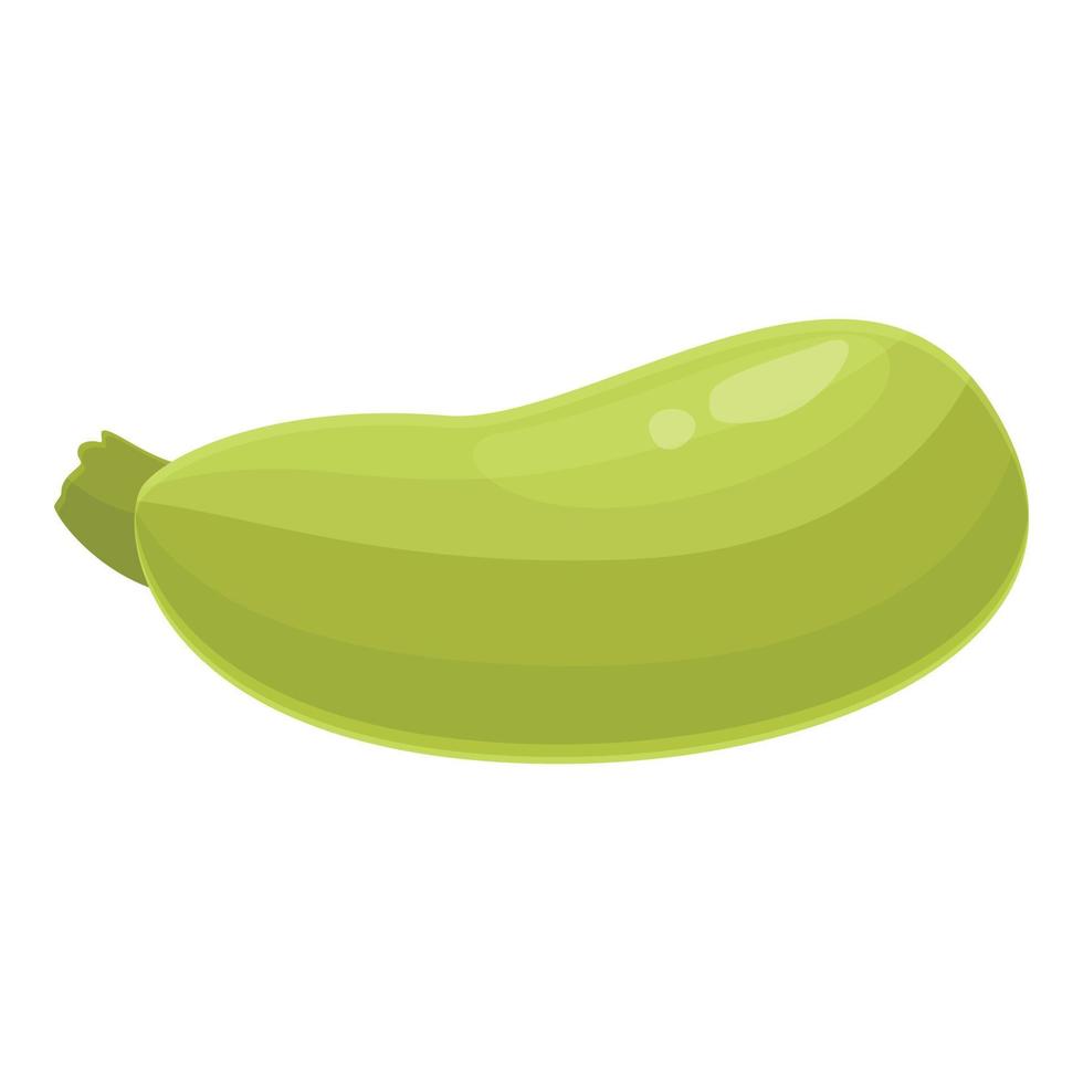 tuin voedsel icoon tekenfilm vector. groente squash vector