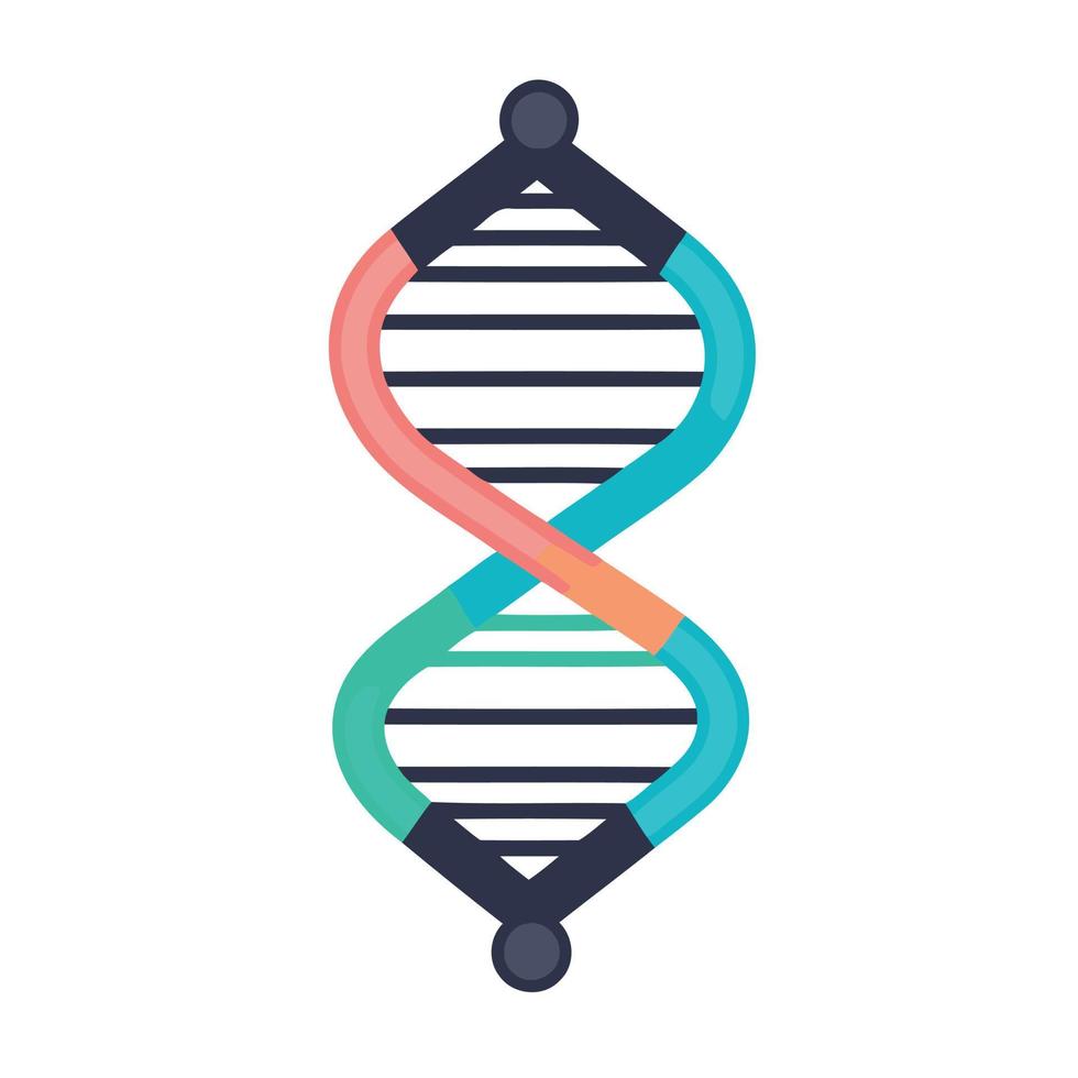 deoxyribonucleic zuur dubbele schroef vector