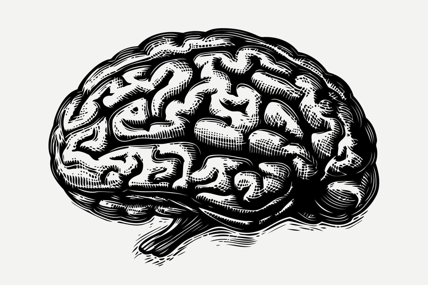 menselijk nerveus systeem hersenen orgaan vector