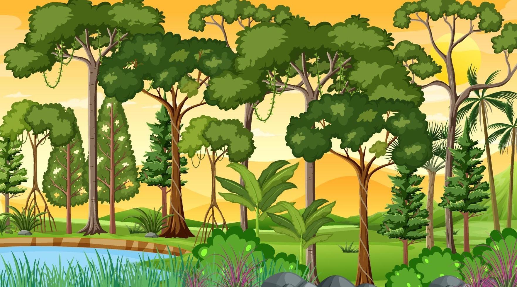 boslandschapsscène in zonsondergangtijd met veel verschillende bomen vector