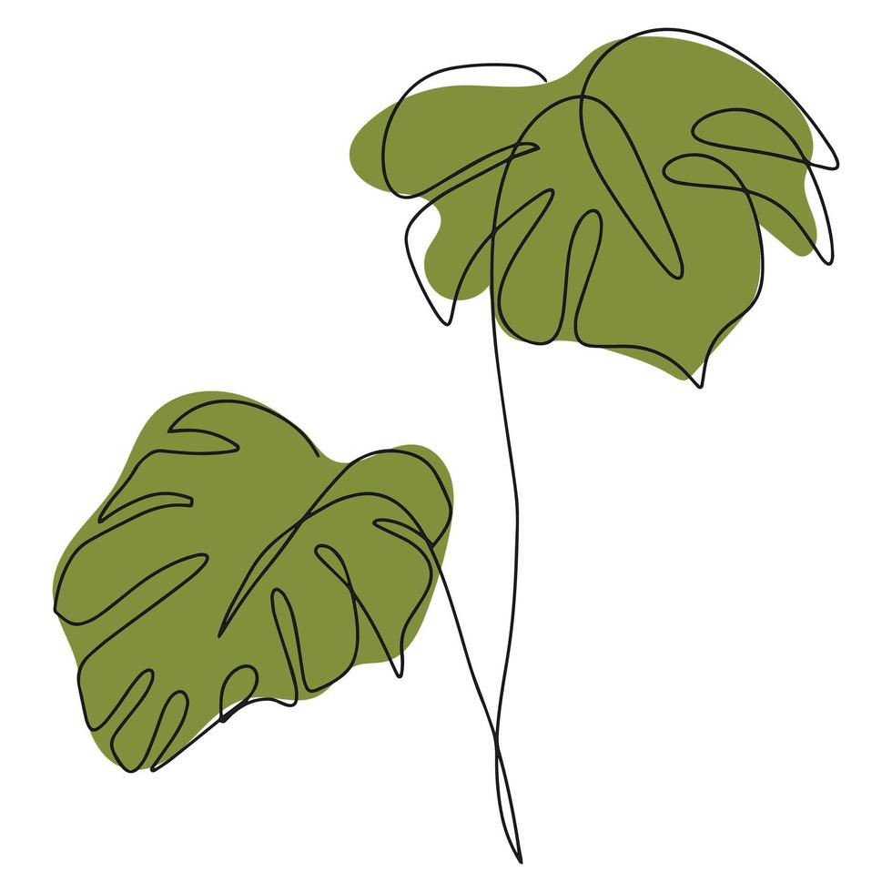minimalistisch monstera bladeren in een lijn. modern vector illustratie met doorlopend lijn kunstwerk. een gemakkelijk botanisch concept voor dekt, Sjablonen, afdrukken. vector illustratie. vector