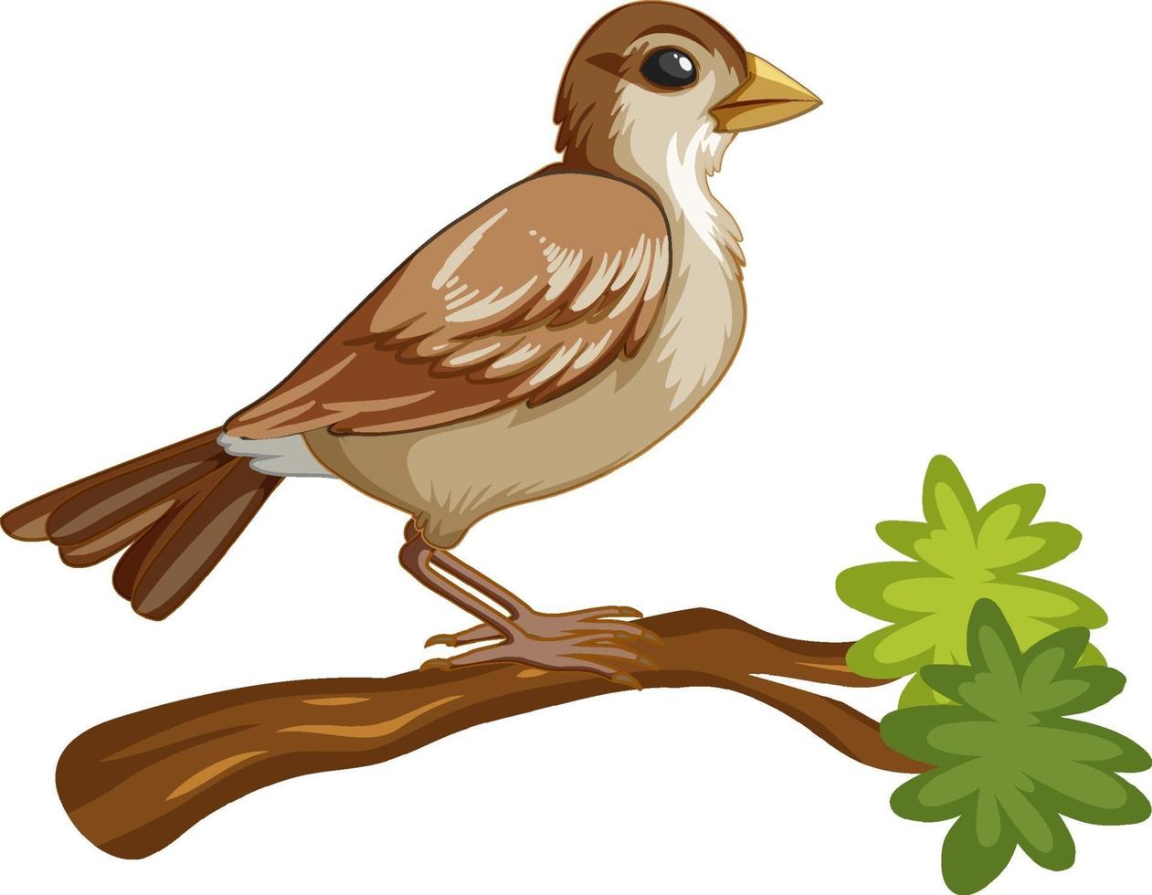 dierlijk beeldverhaalkarakter van een vogel op witte achtergrond vector