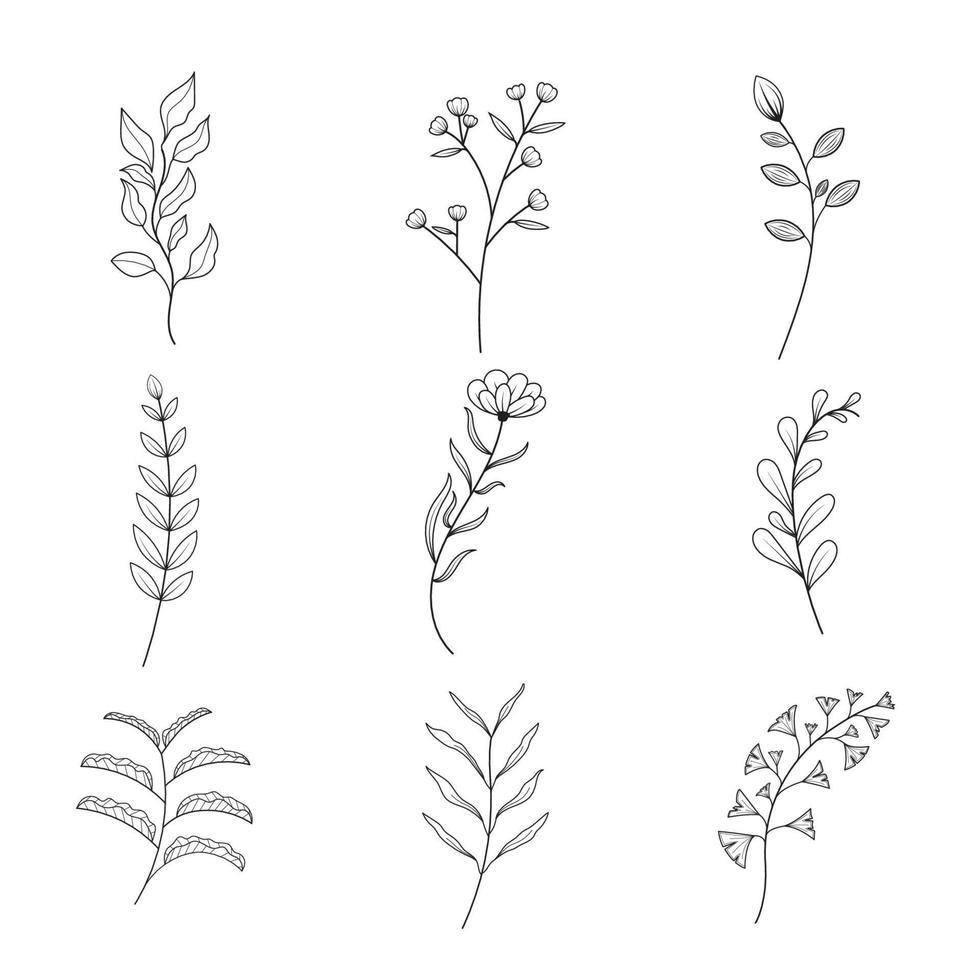 minimalistische bloemen en botanisch verzameling. hand- getrokken bloemen tak, bladeren kruiden en wild planten reeks in lijn stijl. voor decoratie, bruiloft en uitnodiging kaart, ontwerp project. illustrator vector