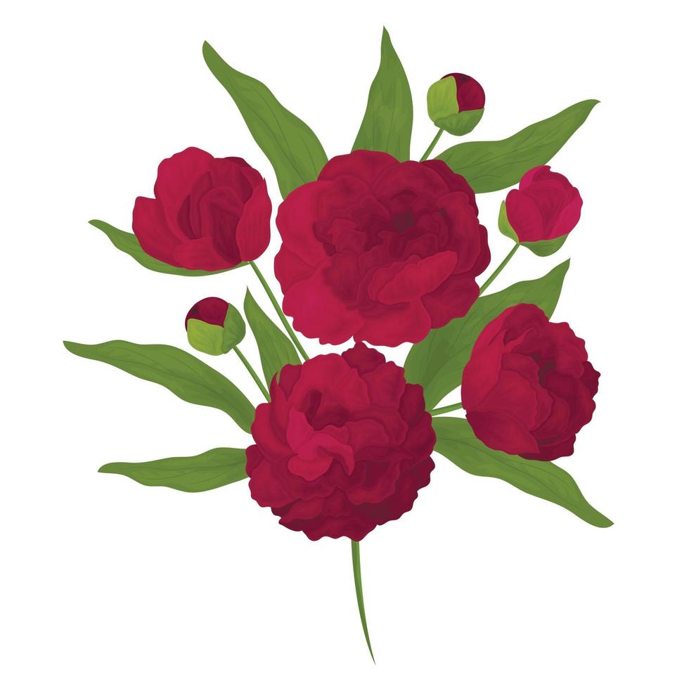 kleurrijke en realistische pioenentak. rode bloemen en knoppen. vector illustratie