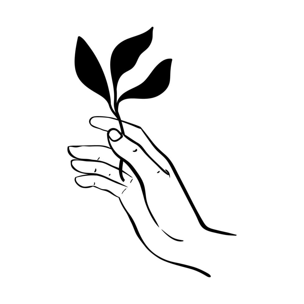 hand- Holding een blad icoon net zo een symbool van Product, schoonheidsmiddelen en voedsel ecologie. vector