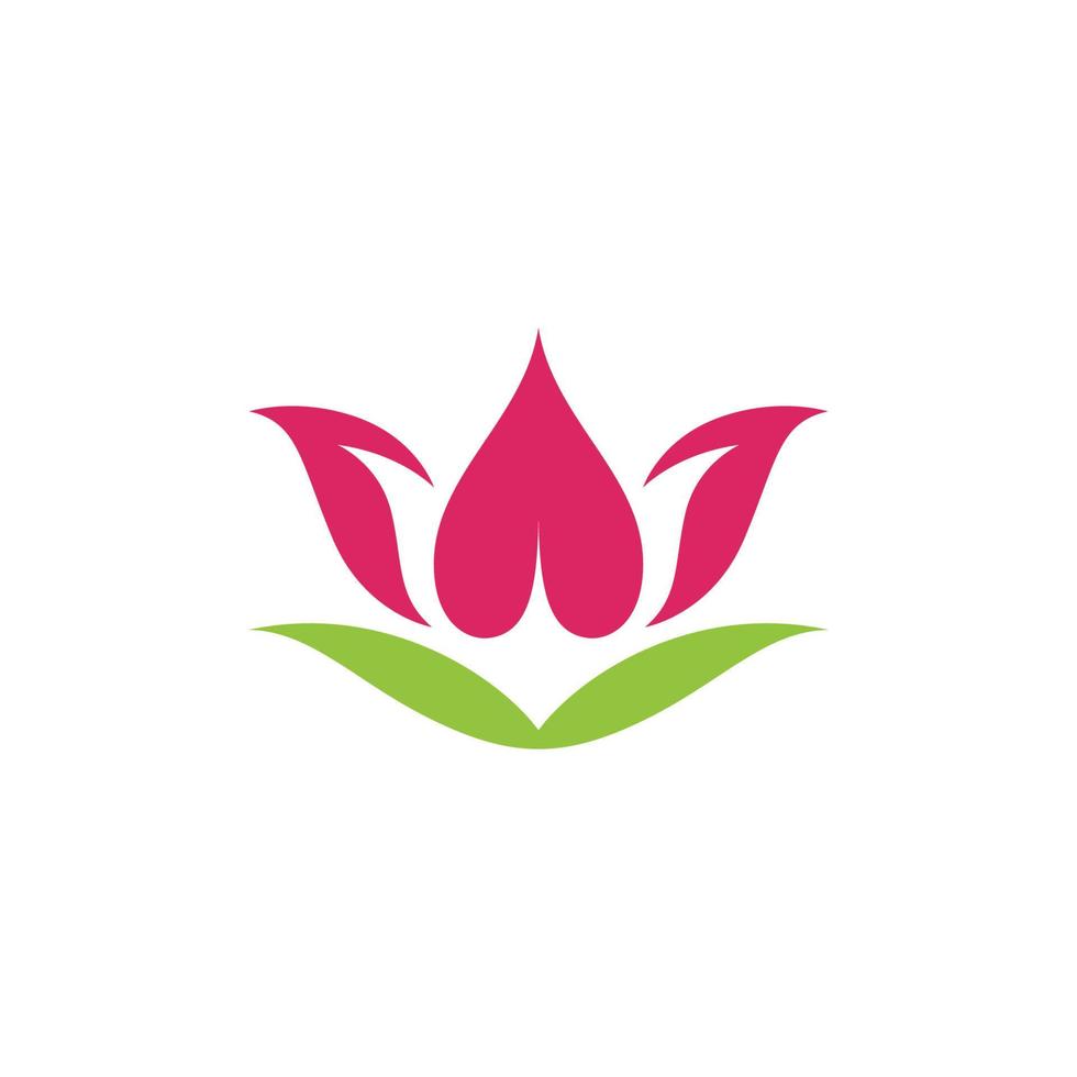schoonheid lotus vector logo sjabloon