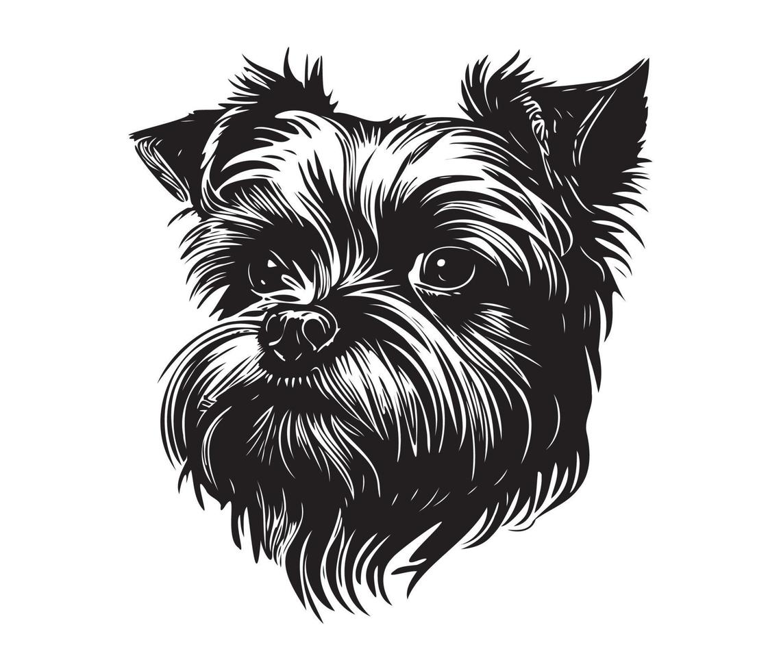 affenpinscher gezicht, silhouetten hond gezicht, zwart en wit affenpinscher vector