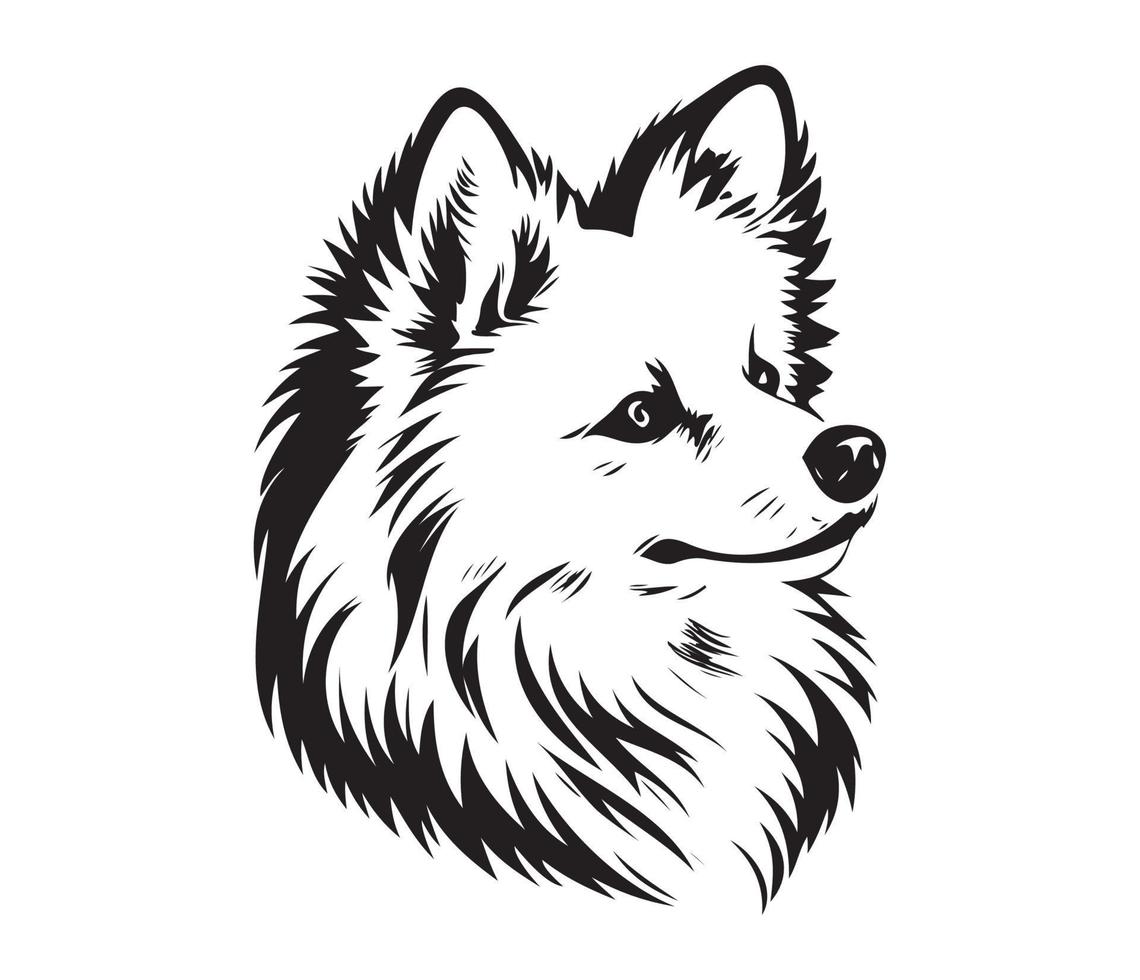 Amerikaans Eskimo hond gezicht, silhouetten hond gezicht, zwart en wit Amerikaans Eskimo hond vector