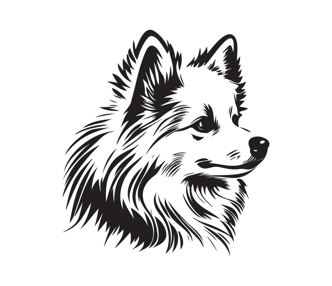 Amerikaans Eskimo hond gezicht, silhouetten hond gezicht, zwart en wit Amerikaans Eskimo hond vector