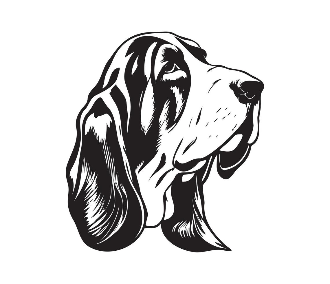 basset hond gezicht, silhouetten hond gezicht, zwart en wit basset hond vector