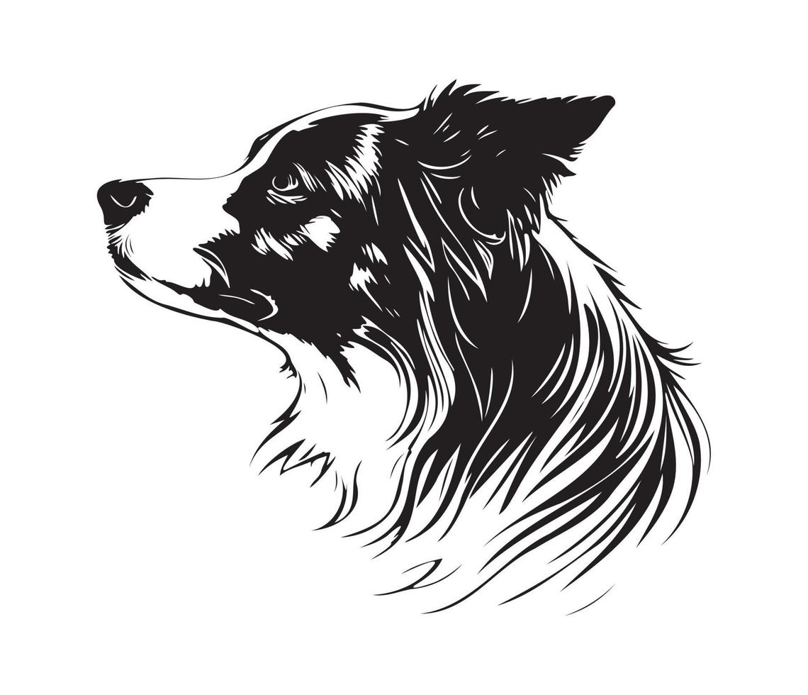grens collie gezicht, silhouet hond gezicht, zwart en wit grens collie vector