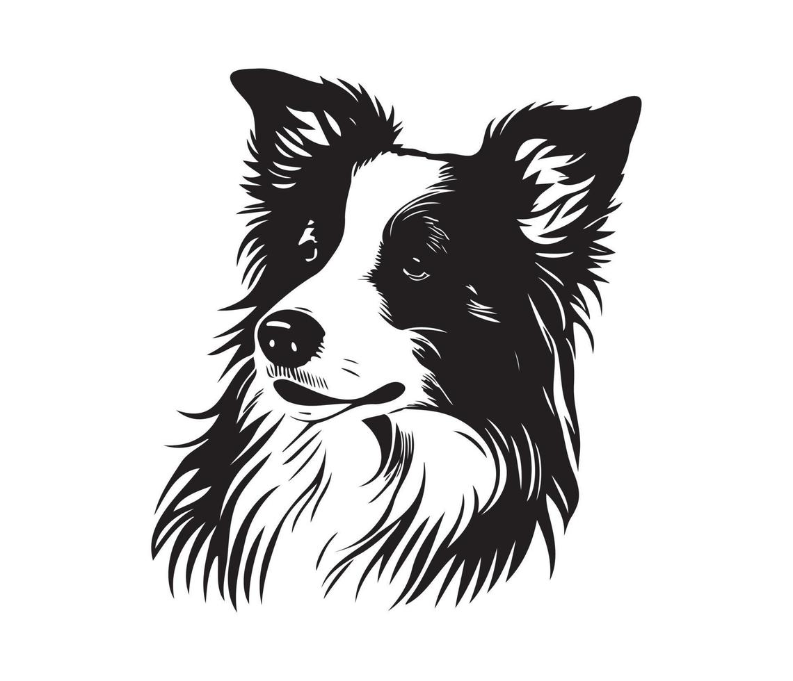 grens collie gezicht, silhouet hond gezicht, zwart en wit grens collie vector